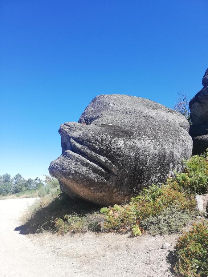 Sambuc'Asa - Serra Da Estrela Sabugueiro  Exterior foto