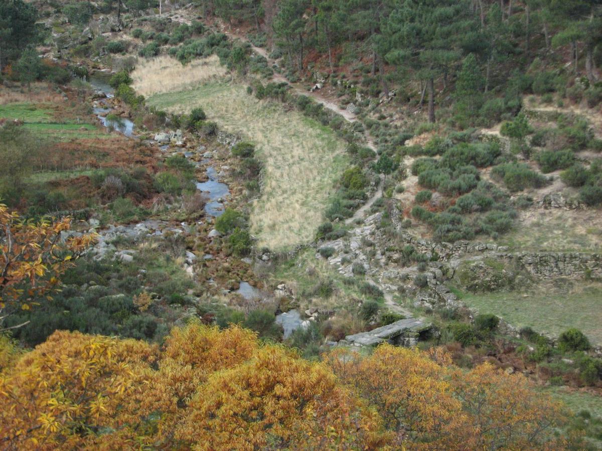 Sambuc'Asa - Serra Da Estrela Sabugueiro  Exterior foto
